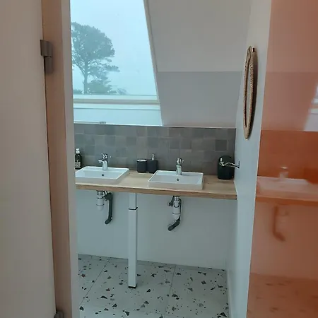 Poule D'eau Plogoff